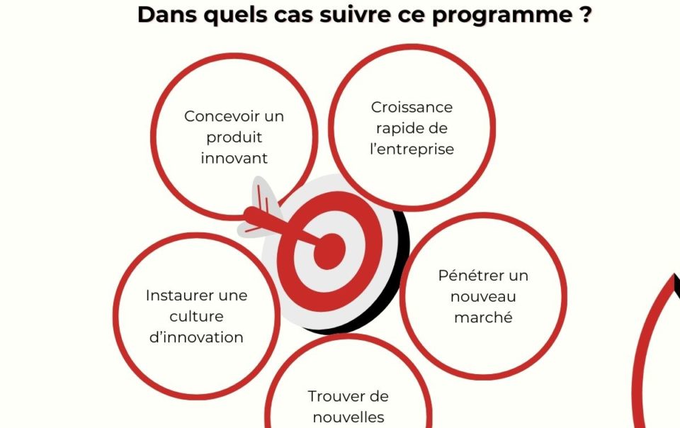 Visuel Programme Stratégie & Innovation Start-up